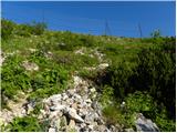 Planina Jezerca - Krvavec